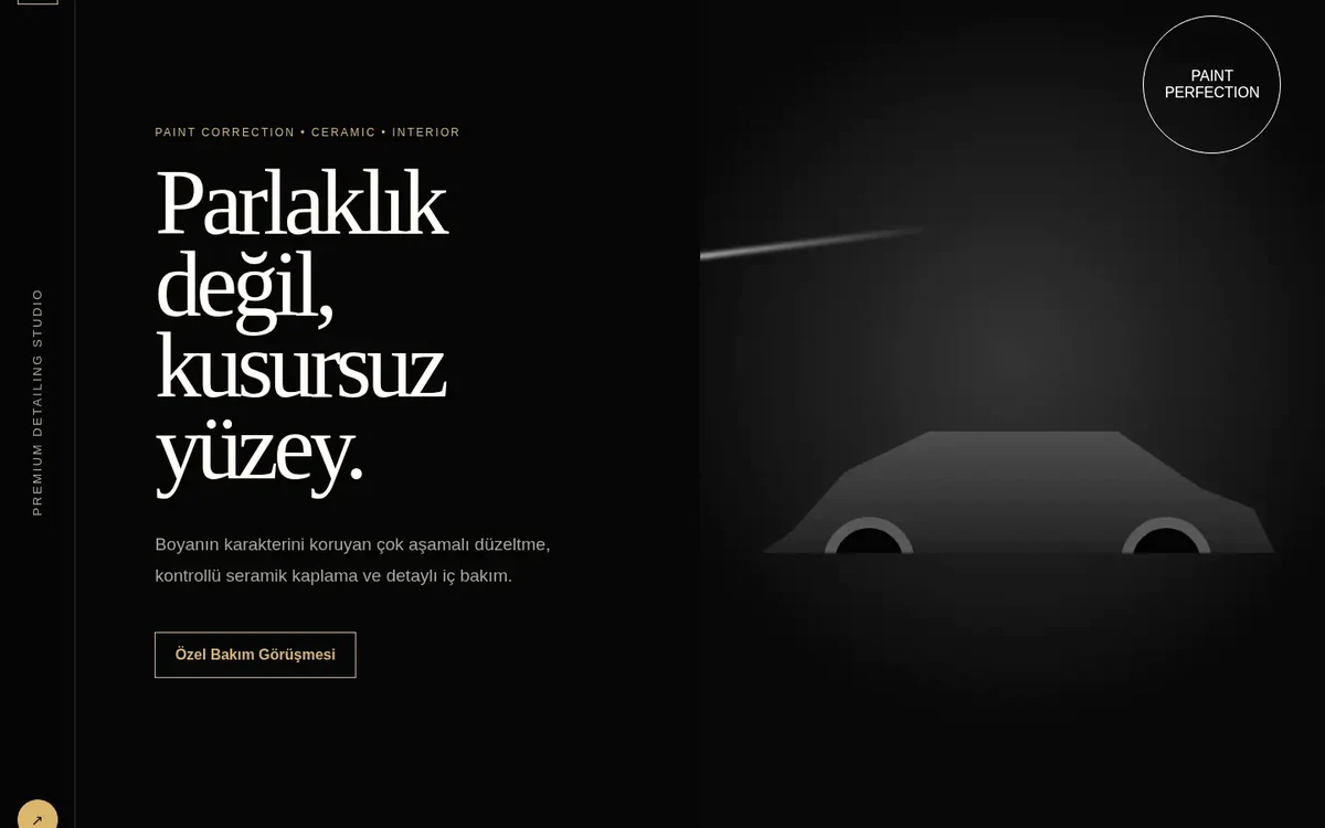 PPF & Detailing web sitesi koleksiyonu