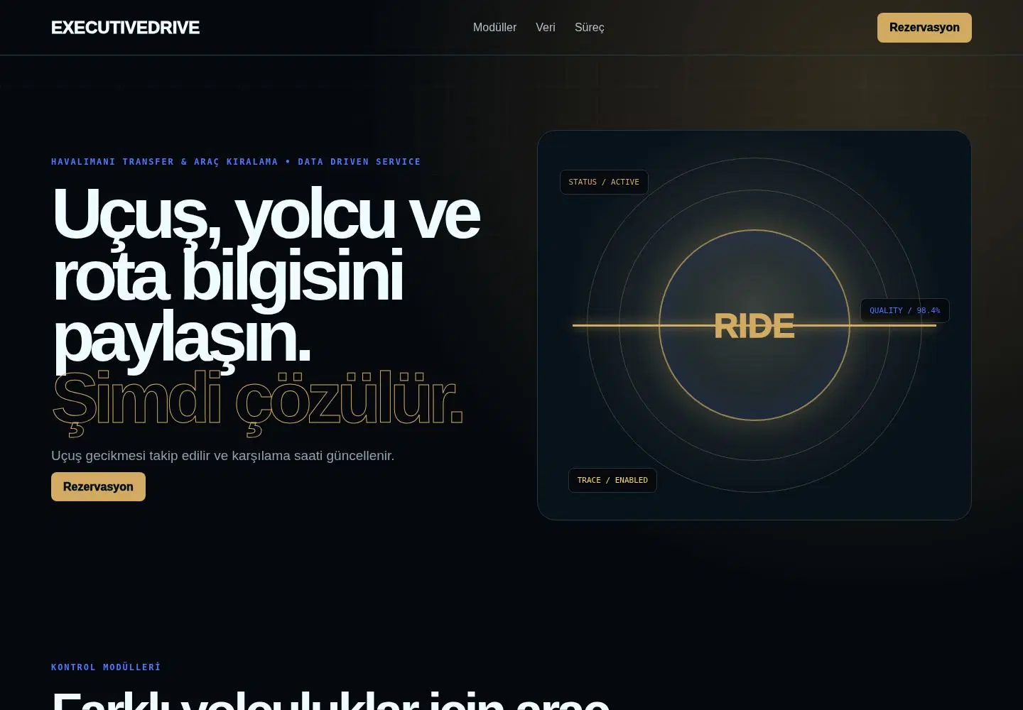 ExecutiveDrive YB-TRA-003 web sitesi modeli