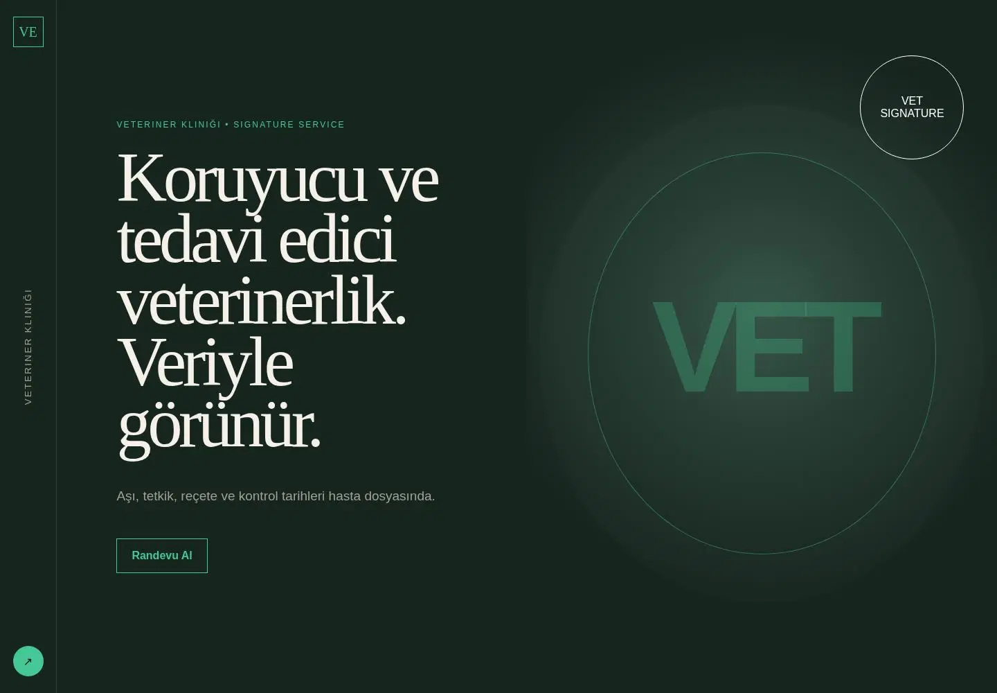 VetNow YB-VET-002 web sitesi modeli