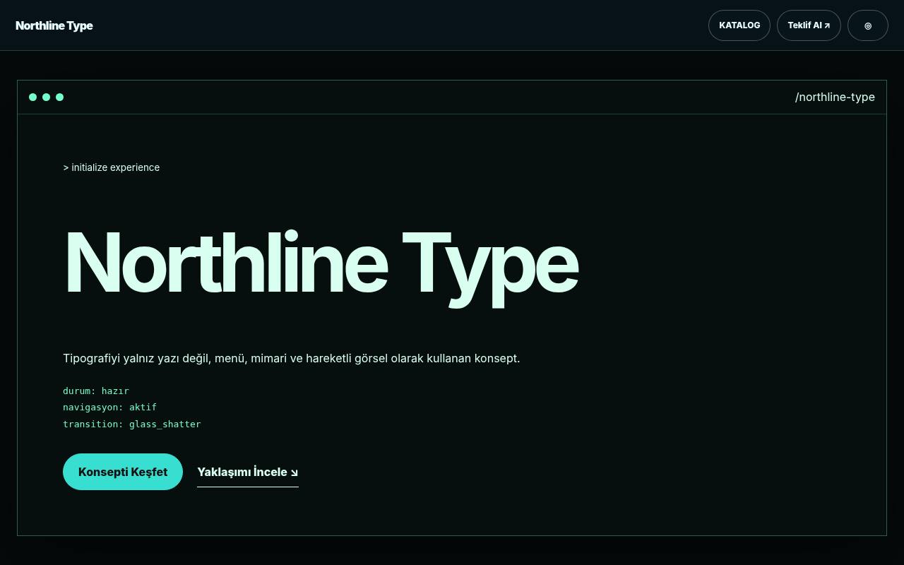 Northline Type tam site tasarım görünümü