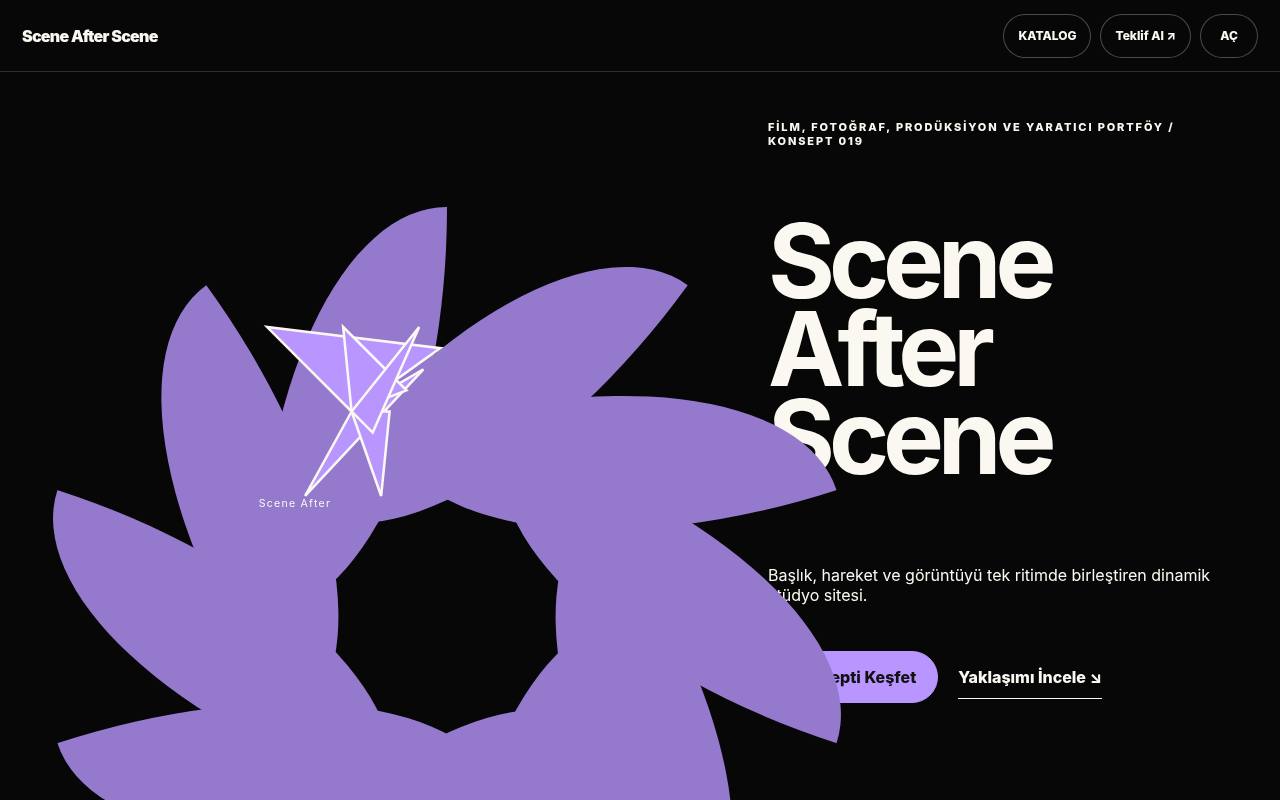 Scene After Scene YB-TAS-019 web sitesi modeli