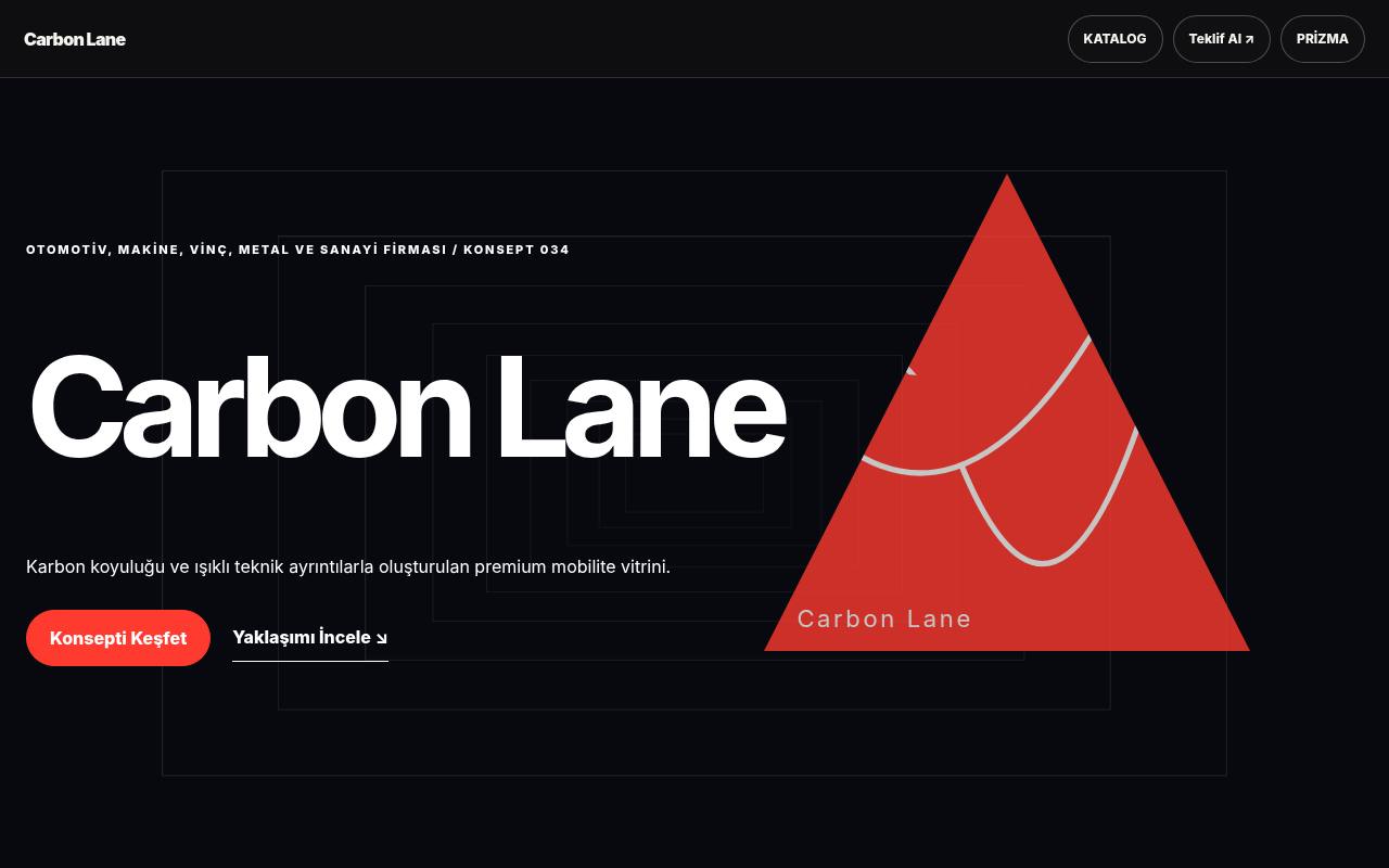 Carbon Lane YB-TAS-034 web sitesi modeli