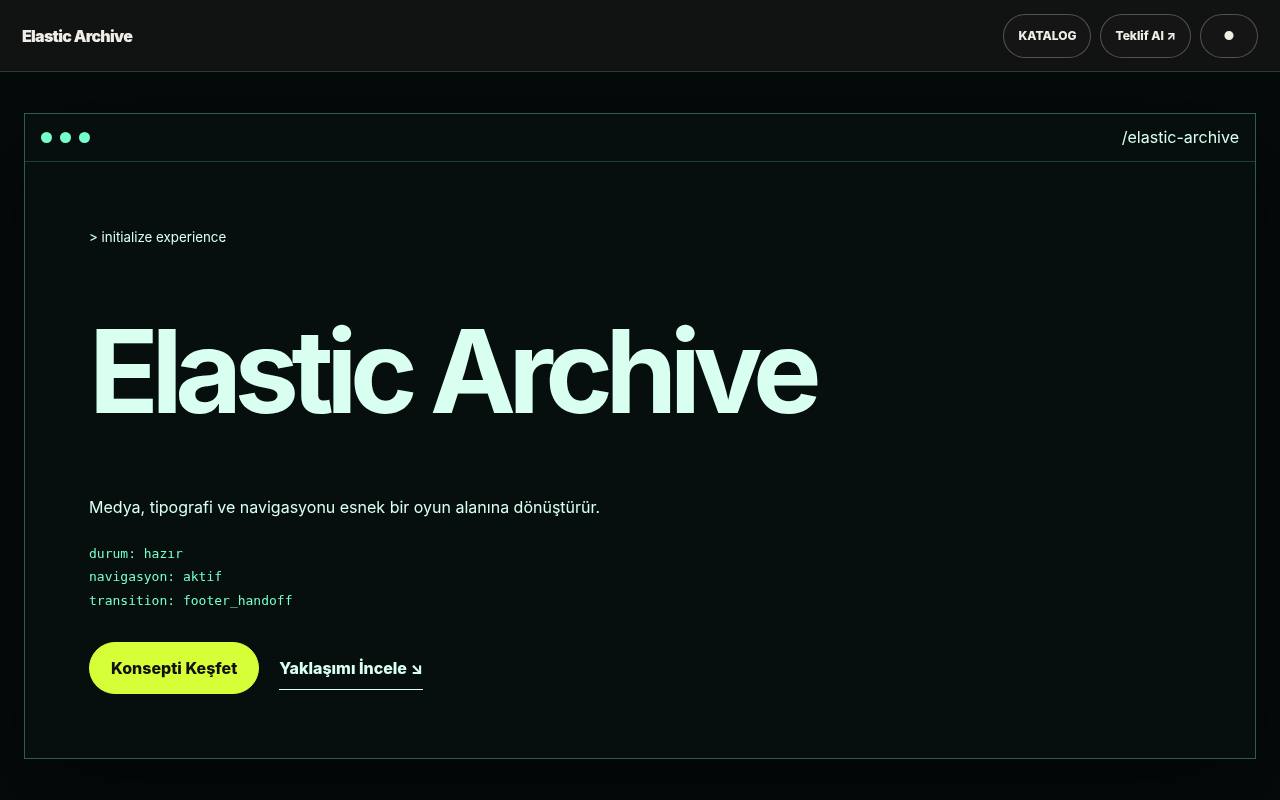 Elastic Archive YB-TAS-058 web sitesi modeli