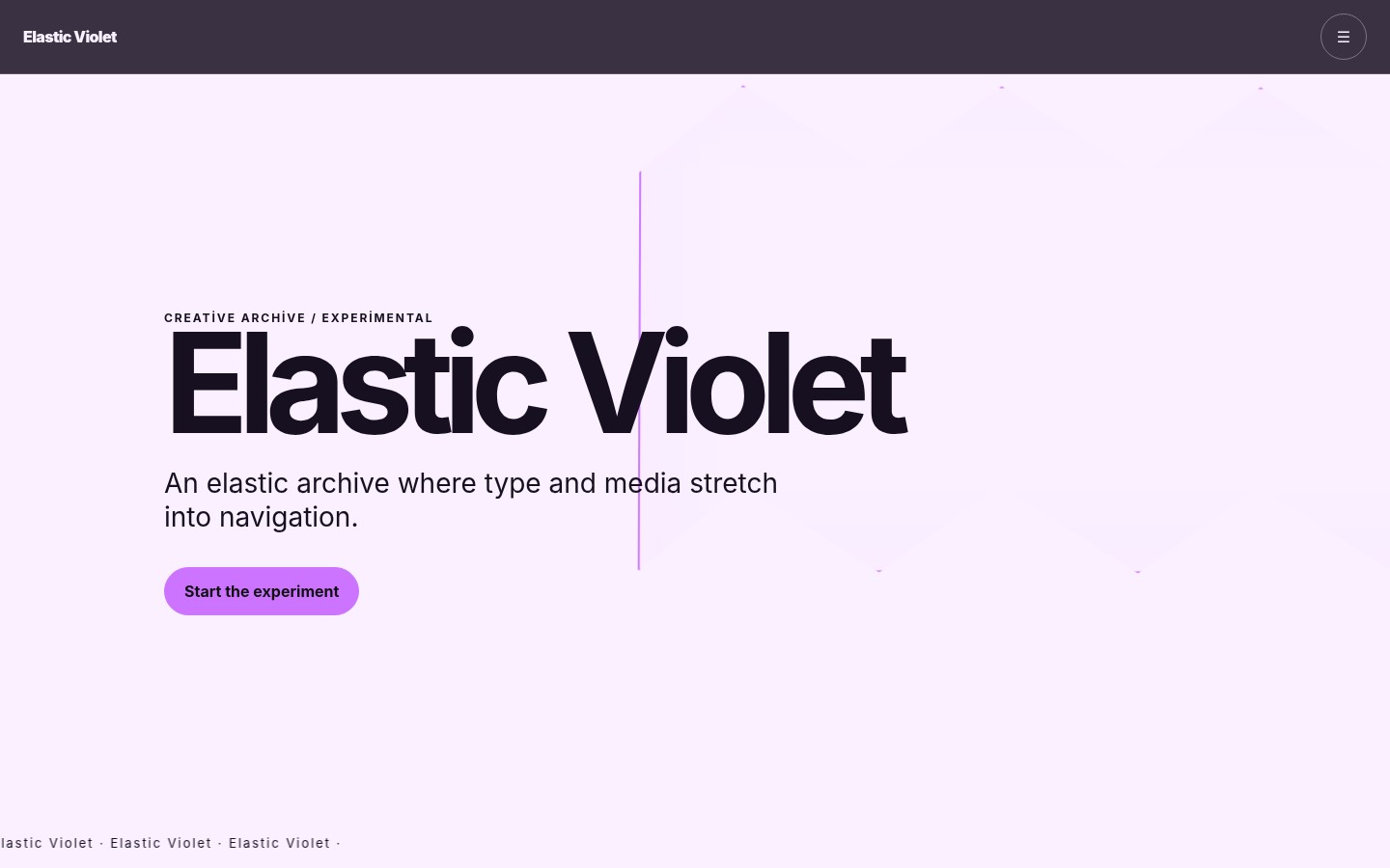 Elastic Violet YB-TAS-164 web sitesi modeli